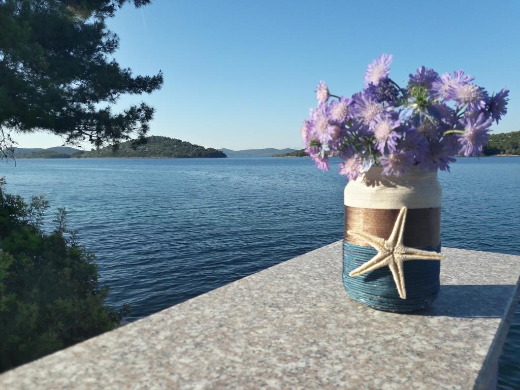 Pansion Alen - Dugi Otok Bed and Breakfast Luka  Eksteriør billede
