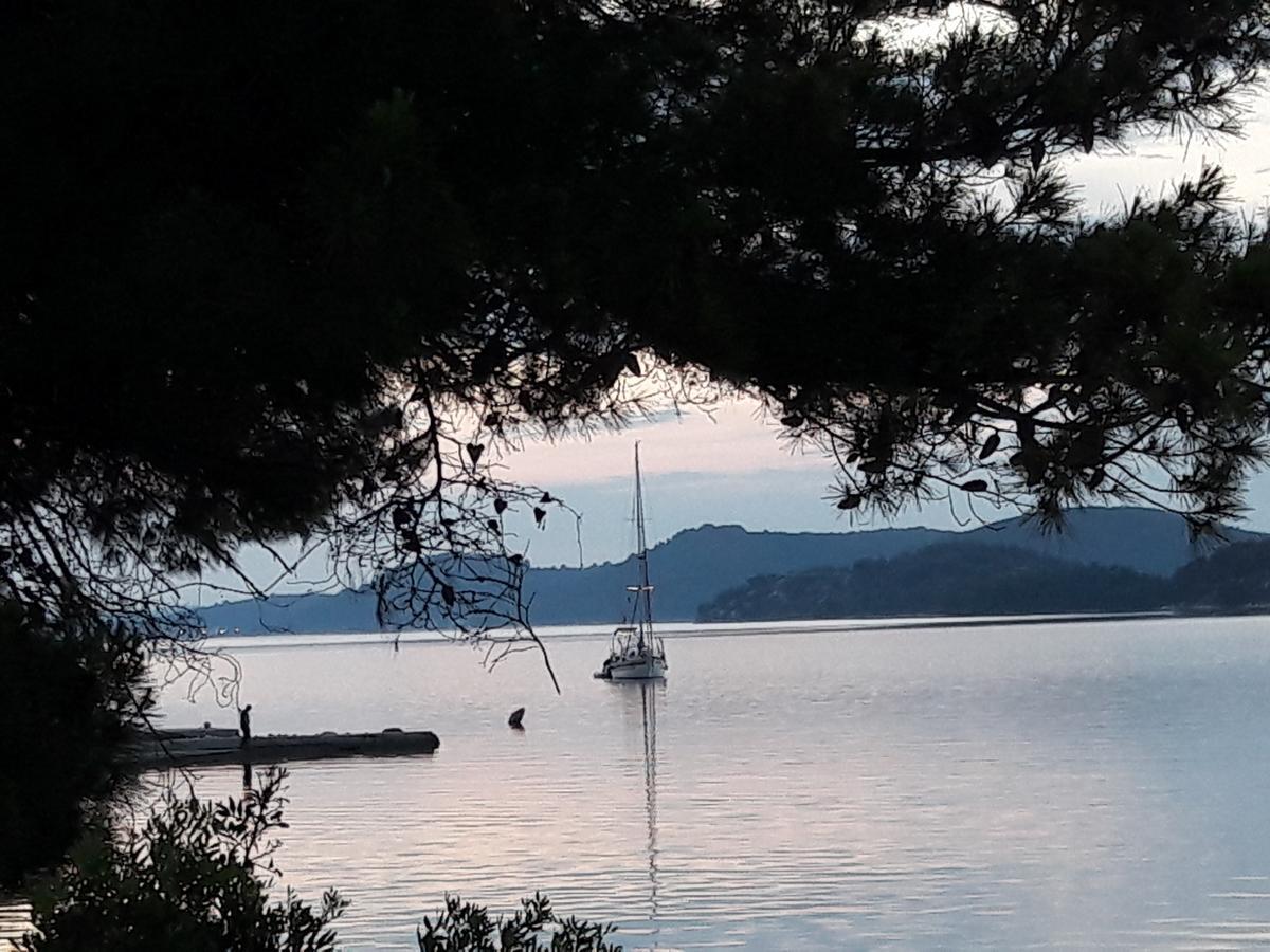 Pansion Alen - Dugi Otok Bed and Breakfast Luka  Eksteriør billede
